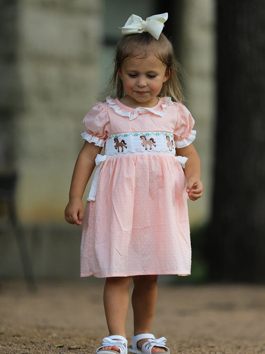 Western Horse Embroidery Girls Dress Lace Petals Collar Puff Sleeve