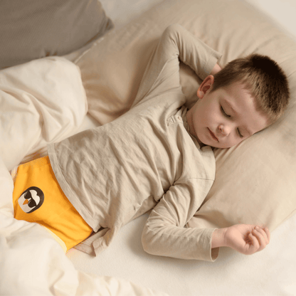 Potty Training Underwear With Adjustable Absorbency