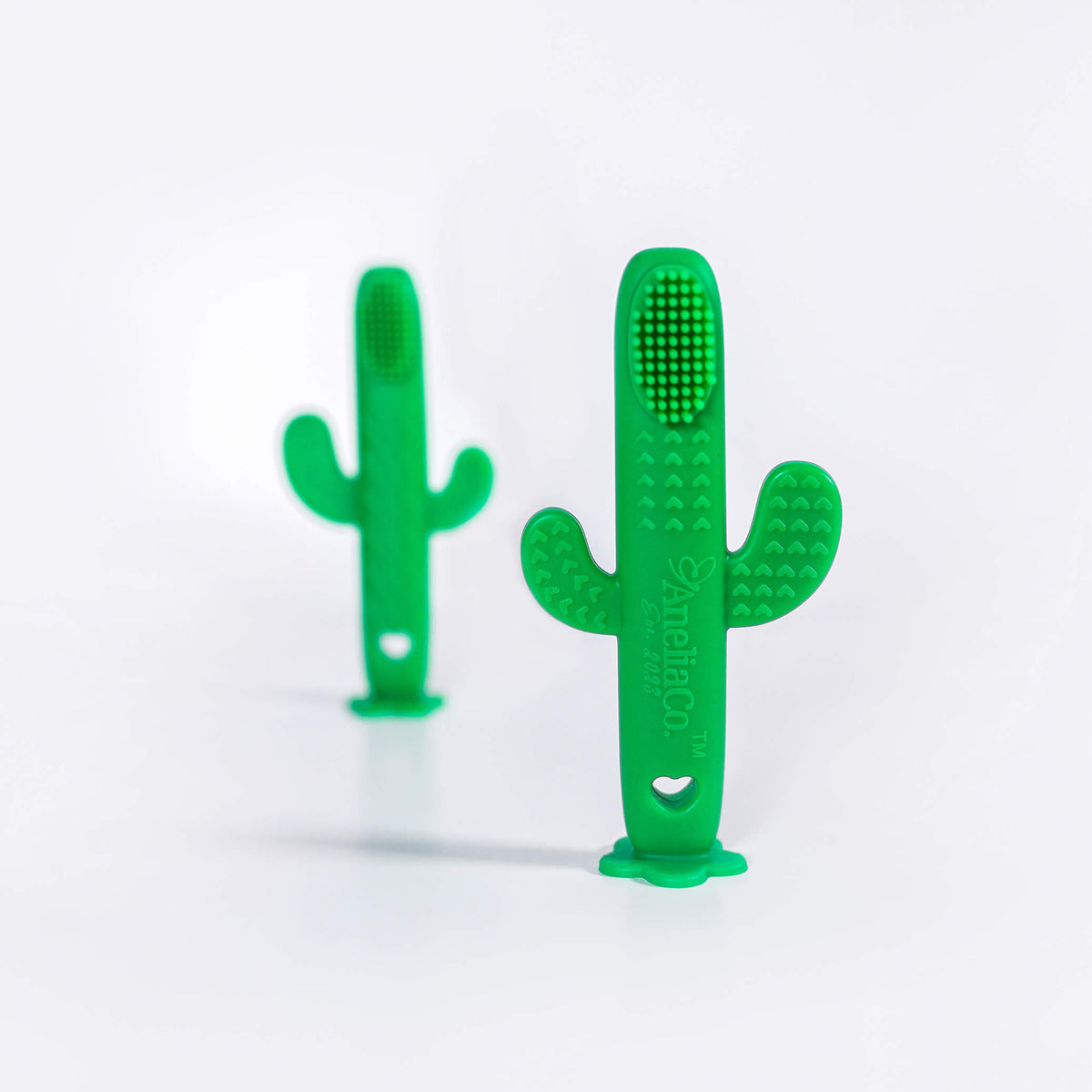 Nopal Toothbrush / Pre-Tooth Gum Cleaner