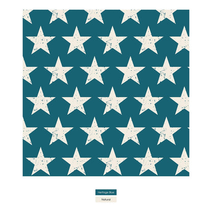 Women's Print Short Sleeve Relaxed Tee in Vintage Stars