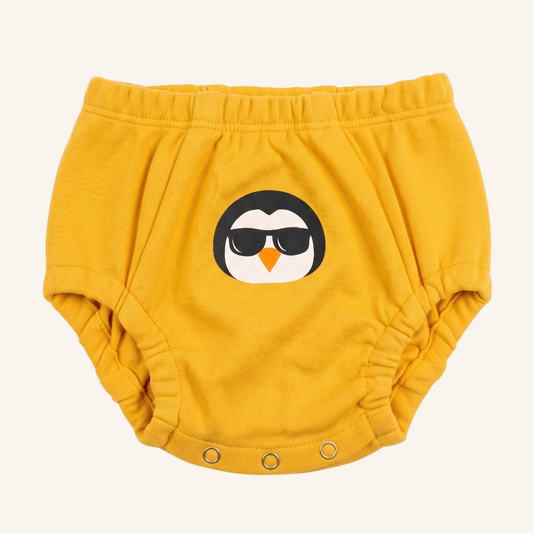 Potty Training Underwear With Adjustable Absorbency