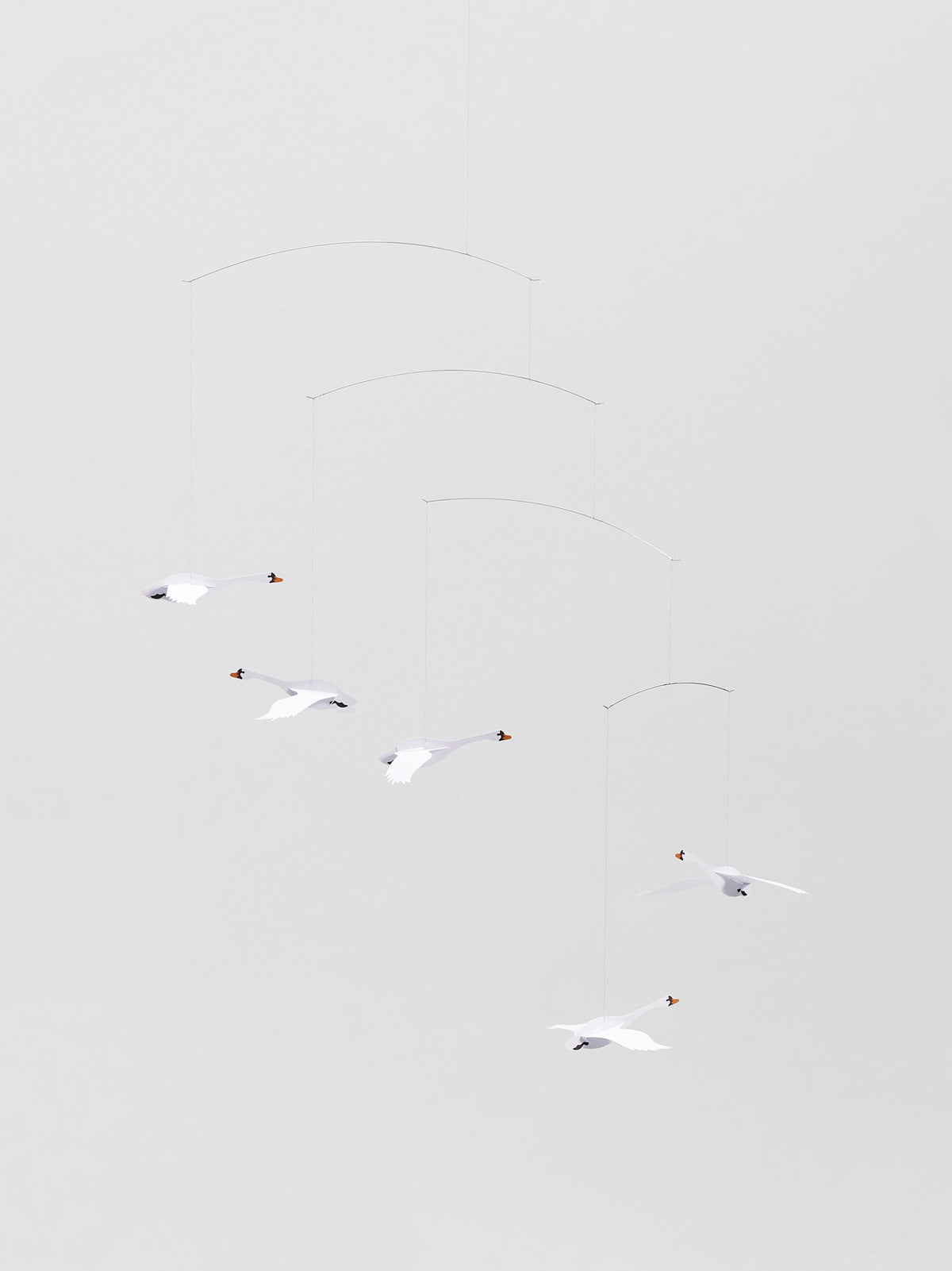Scandinavian Swans.