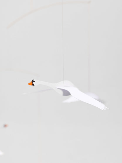 Scandinavian Swans.