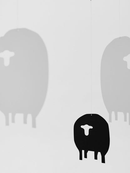 Sheep.
