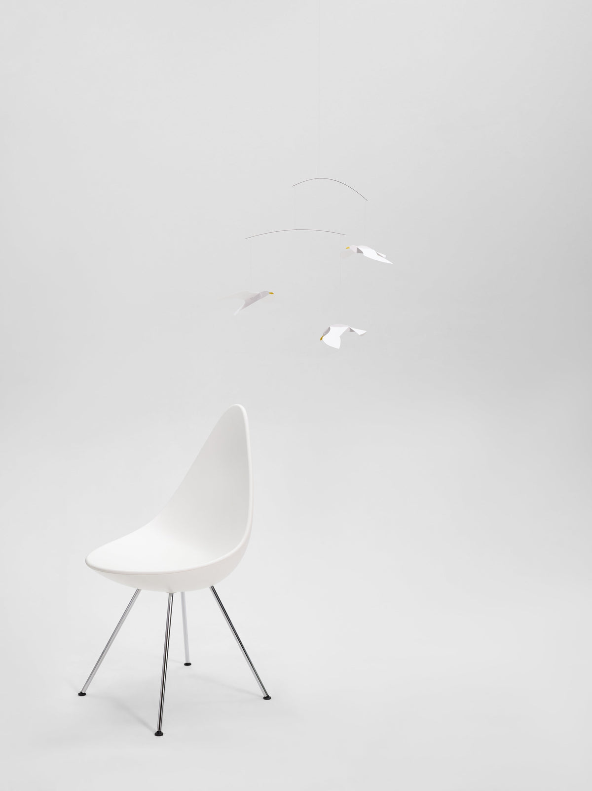 Soaring Seagulls.