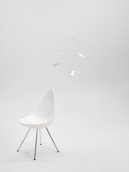 Soaring Seagulls.