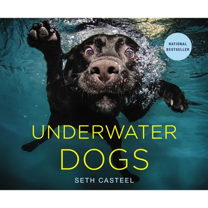 Underwater Dogs - Hardcover