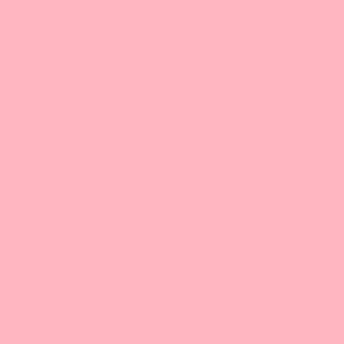 Color Upgrade - Pink